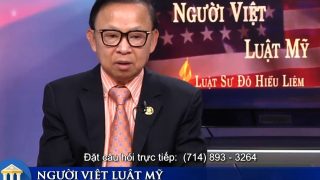 NGUOI VIET LUAT MY